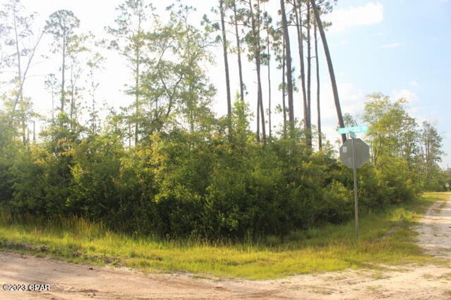 Wooded corner lot.  Located in Flood Zone X.  Walking distance to the Dollar General.  The volunteer fire department is a block away on 
Center Dr.  30 mins MOL to Panama City to Beaches.  North to I-10.  Powerlines in front of property for easy connection.
