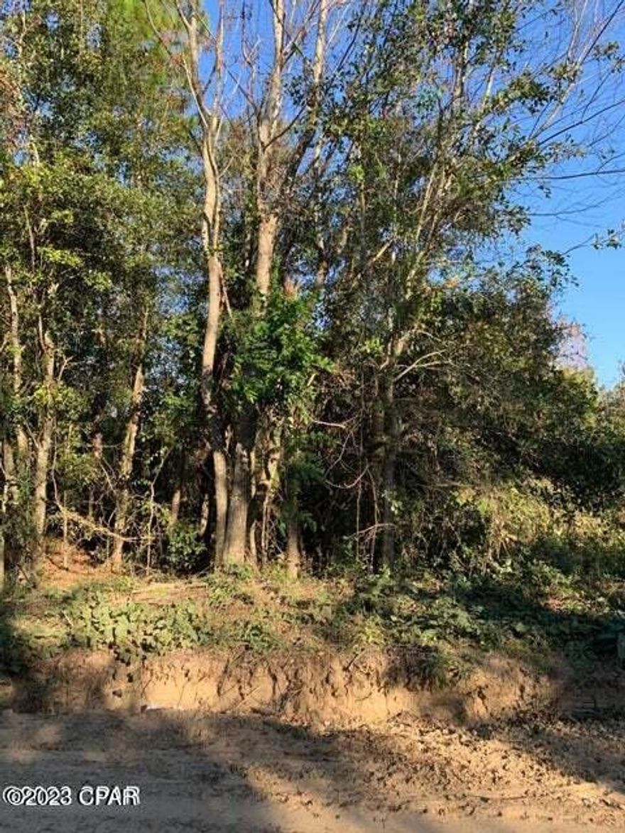 5 Acres to build your new home! Property is treed so you can pick the location for your homesite. Acreage is located on a dirt road not far off of Old US Rd which is paved