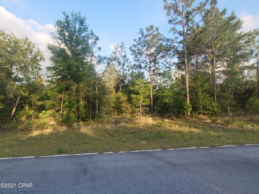 Nice .44 +/- building lot in Sunny Hills. Lot is mostly wooded. Close to Sunny Hills Blvd. Lot is restricted to site built homes.  Several fishing lakes in the area and Boat Lake for seasonal swimming. Approx.  40 miles from Panama City and 20 miles from Chipley. Deed restrictions.