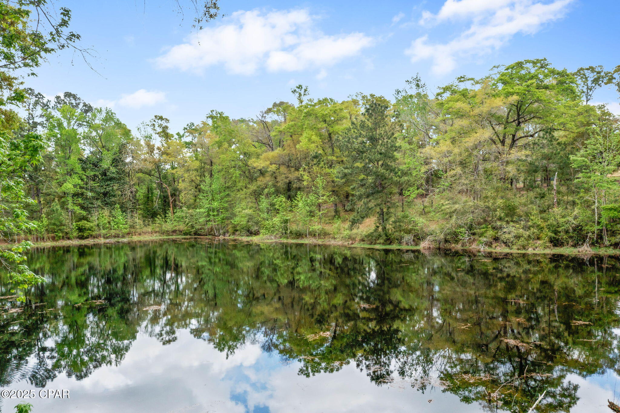 Spring Lakes Estates - Residential