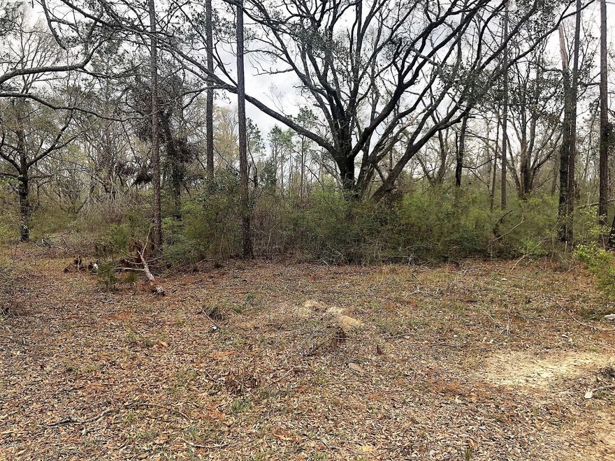 Looking for a great piece of land?  This is it!  Would be great for many purposes: a home site or a getaway.  The property fronts both Kent Road and Appaloosa Way.  There is also an old well and septic, but there is no guarantees and should be inspected at buyers expense.