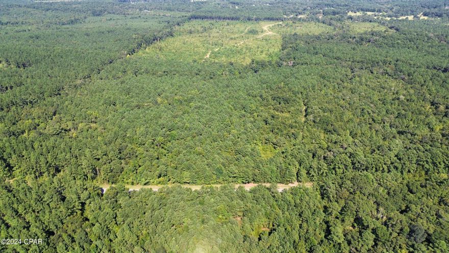 $467,500 for 110 acres in Ponce De Leon, FL 32455. The Knox Hill Rd tract is situated 4 miles south of Interstate 10 and 30 minutes away from the South Walton Beaches (30a). With 670' of paved frontage on Knox Hill Rd.