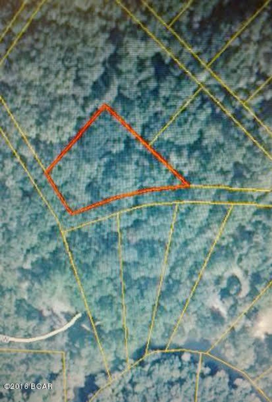 Large, waterview lot next to the pristine waters of the Chipola River in Marianna, FL.  This outstanding Florida Canoe, Kayaking, boating and fishing river is accessed by a nearby paved boat launch at Magnolia Landing.  This crystal clear, Outstanding Florida Waters river flows through a bed of limestone, and the banks are loaded with ancient caves, and other interesting features.  Many visitors to the area love to snorkel in these beautiful waters and collect the ancient shark teeth that collect in the river bed pockets.