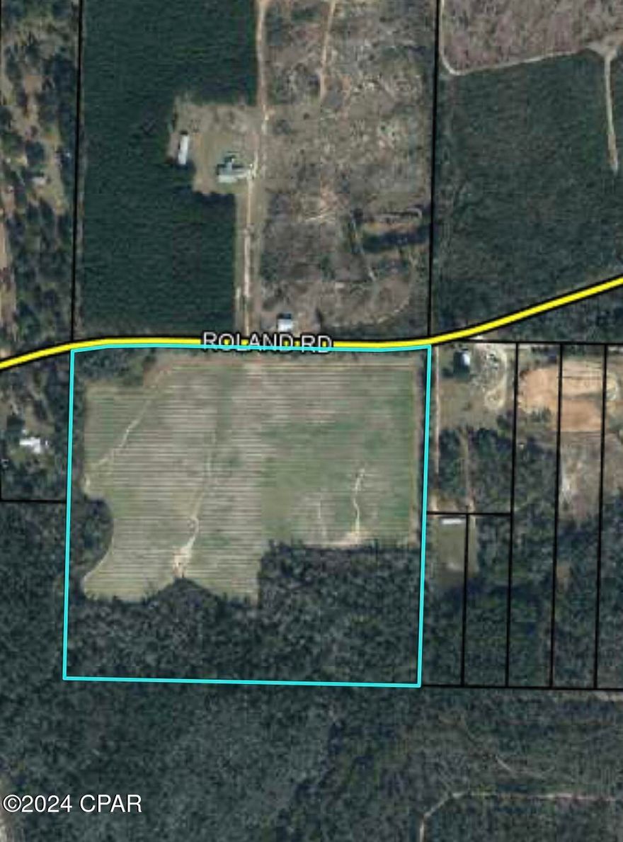 Stunning 40-acre property nestled in the countryside.   
With around 30 acres of prime farmland.  
Multiple ideal spots available for your dream house or mobile home.  
Convenient access with paved road frontage.  
Just a short drive to Chipley, Wausau, Panama City, and Panama City Beach.

****** The sellers are open to the possibility of dividing the property into two separate parcels of twenty acres each******
