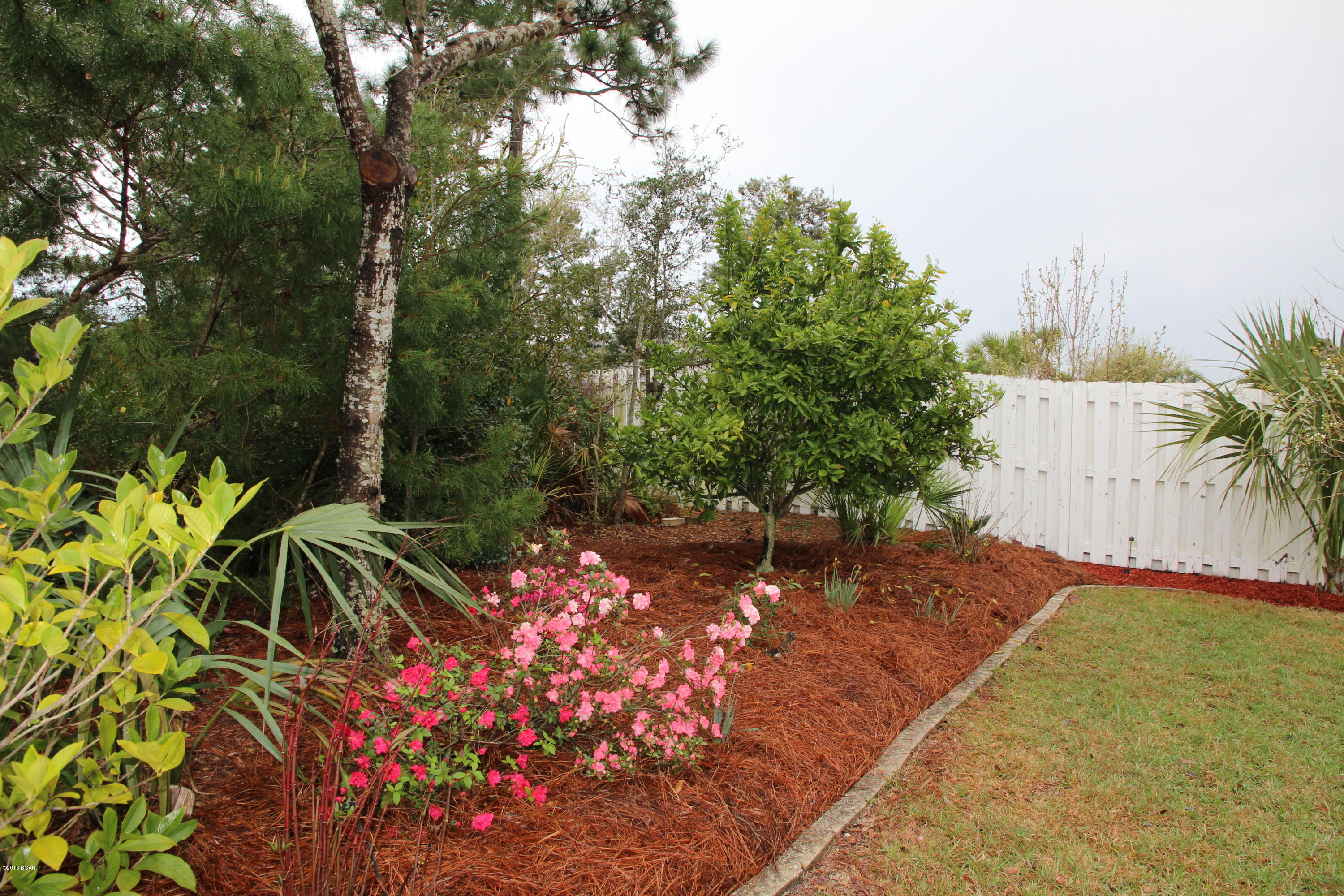 Palmetto Trace Phase 2 - Residential