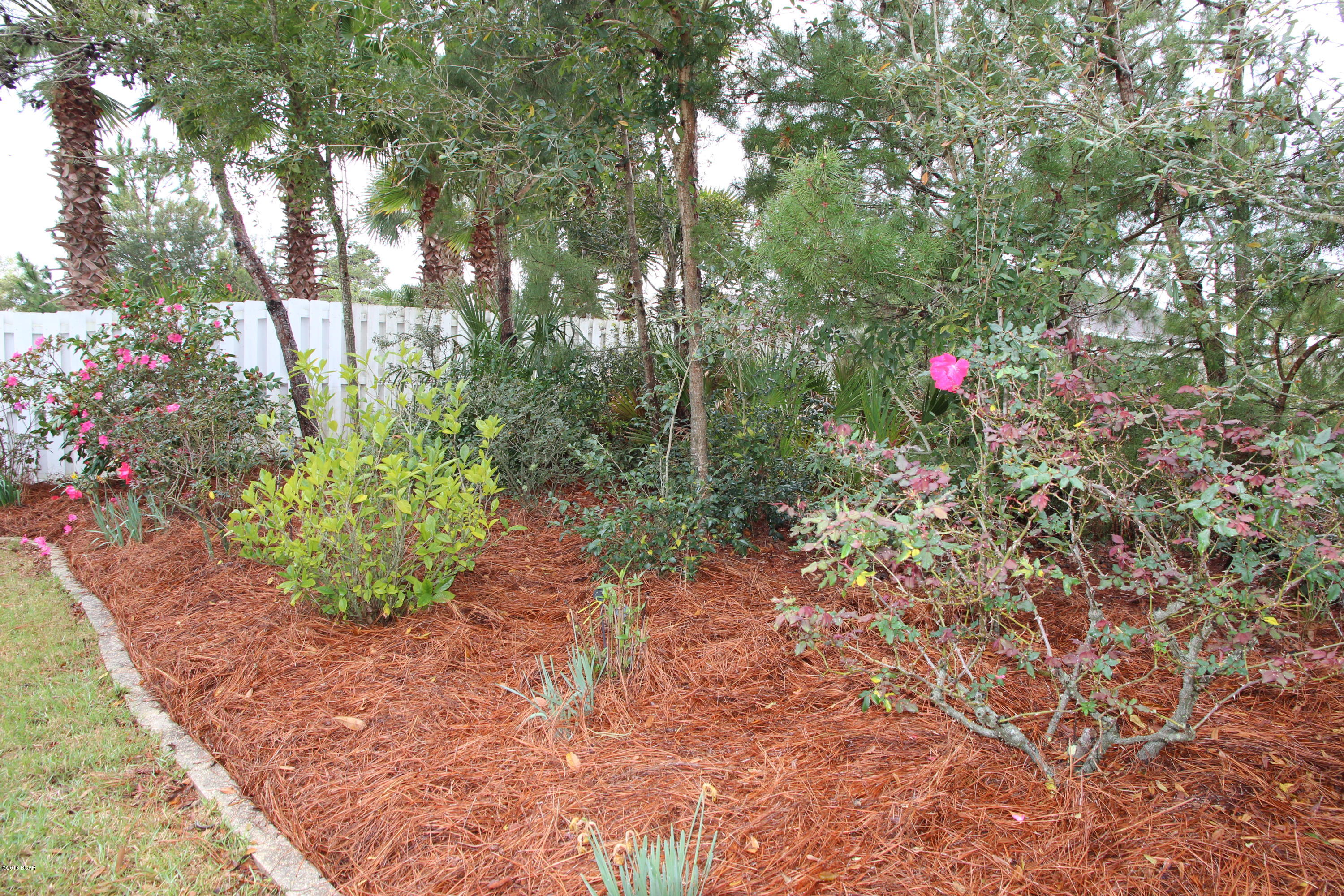 Palmetto Trace Phase 2 - Residential