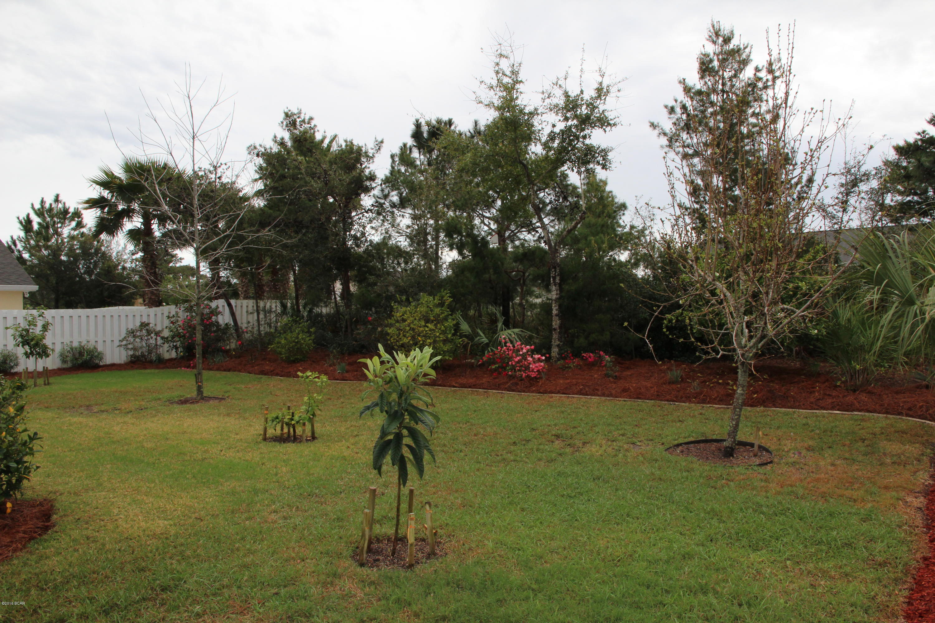 Palmetto Trace Phase 2 - Residential