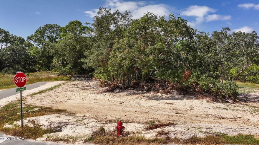 INDIAN PASS COASTAL RETREAT!! Lot 11 Sea Mist Drive presents a rare opportunity to secure a 1st tier corner homesite in Indian Pass Shores subdivision. This homesite offers ample space & flexibility to bring your vision to life—whether that's a timeless beach cottage or a modern coastal retreat. The property is level, cleared, & ready for your dream build. This location within the neighborhood provides both privacy & convenience, making it the perfect setting for a future home designed around your lifestyle with light restrictions and NO HOA. Step outside & immerse yourself in the coastal lifestyle. Enjoy long walks along wide, pet-friendly beaches where the soft white sand & gentle Gulf breezes set the stage for unforgettable days with family & friends — even your four-legged companions. Just around the corner, the famous Indian Pass Raw Bar serves fresh oysters & seafood in a laid-back, local atmosphere. For boaters & anglers, a nearby launch provides easy access to Indian Pass Lagoon, Apalachicola Bay & the Gulf of Mexico, where endless aquatic adventures await. Just a short drive from Port St. Joe, this location gives you the best of  what Port St. Joe is known for- boutique shopping, waterfront dining & a welcoming marina. From casual coastal cafés to fine dining, every evening brings a new opportunity to savor the local flavor.  With its spacious homesite, carefully designed community, & unbeatable location on Florida's Forgotten Coast, Lot 11 Sea Mist Drive is more than just land — it's the foundation for your dream coastal lifestyle. Call for your private tour & LIVE THE BEACH LIFE!