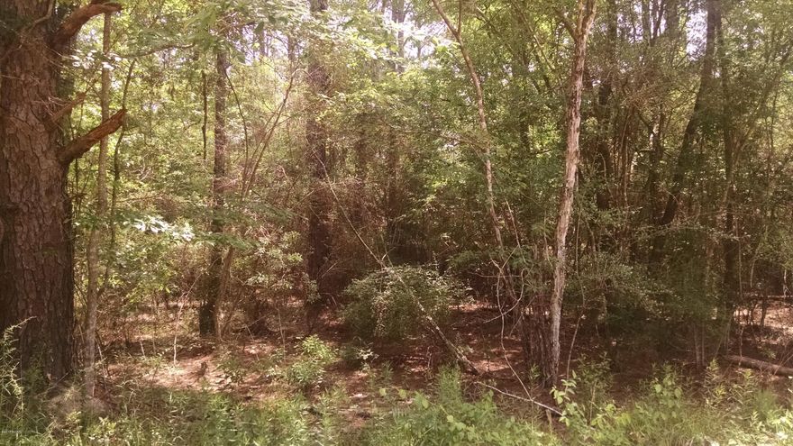 This is two lots combined to make one good sized lot. Not far from the boat landing on the river. Lots of big trees on this parcel, with a little clearing would make a nice home site.