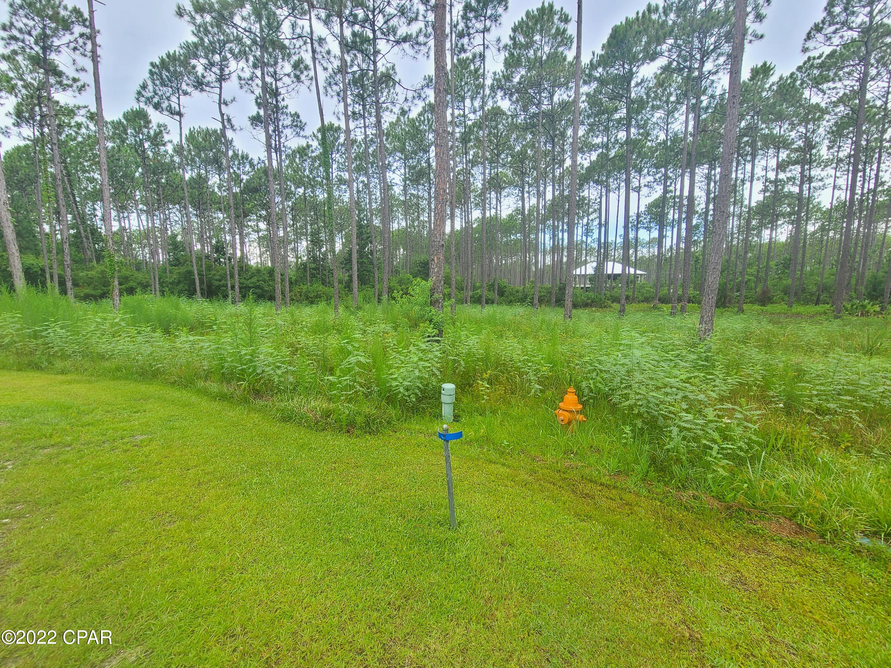 Rivercamps On Crooked Creek Ph 3 - Land