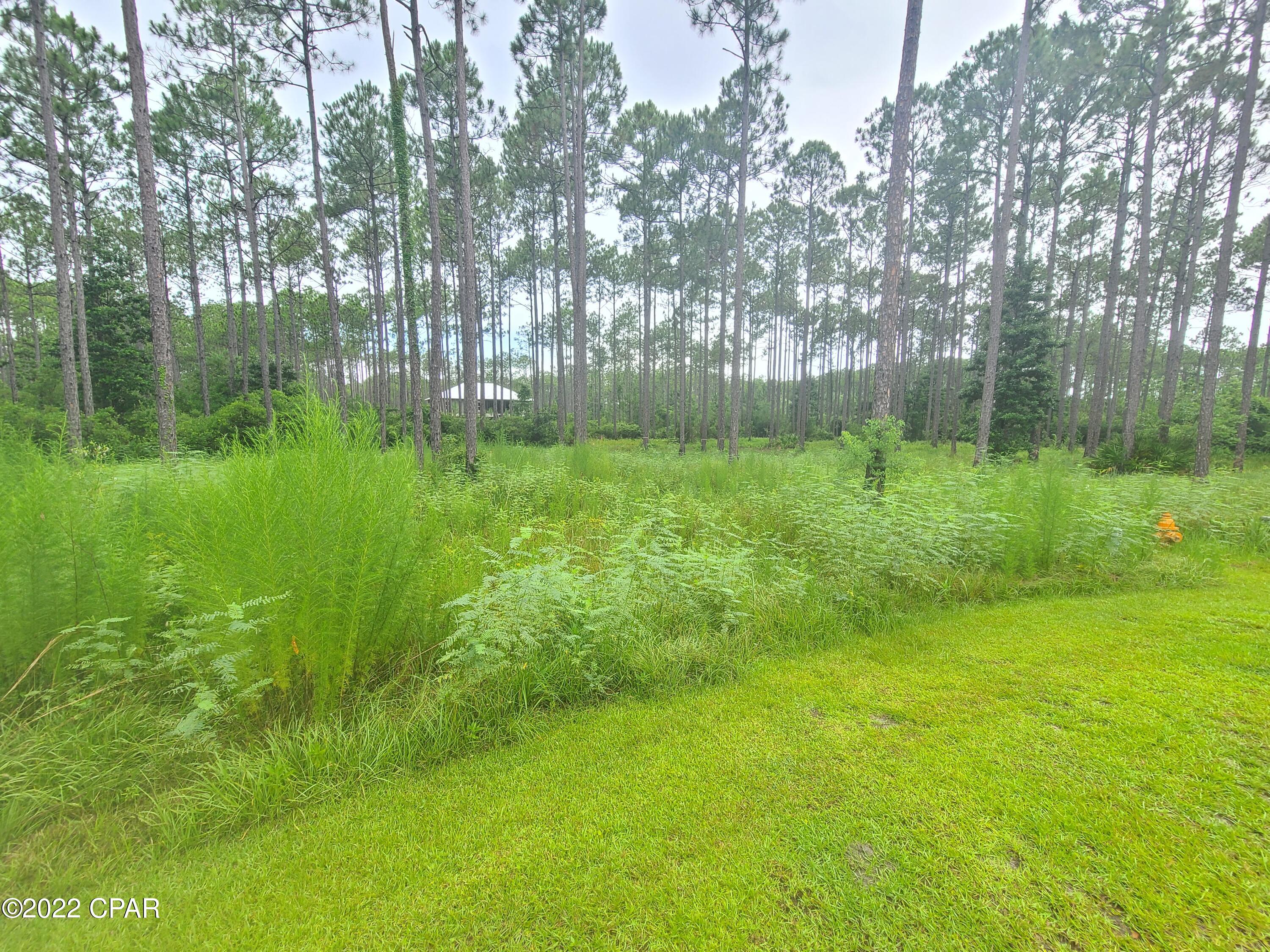 Rivercamps On Crooked Creek Ph 3 - Land