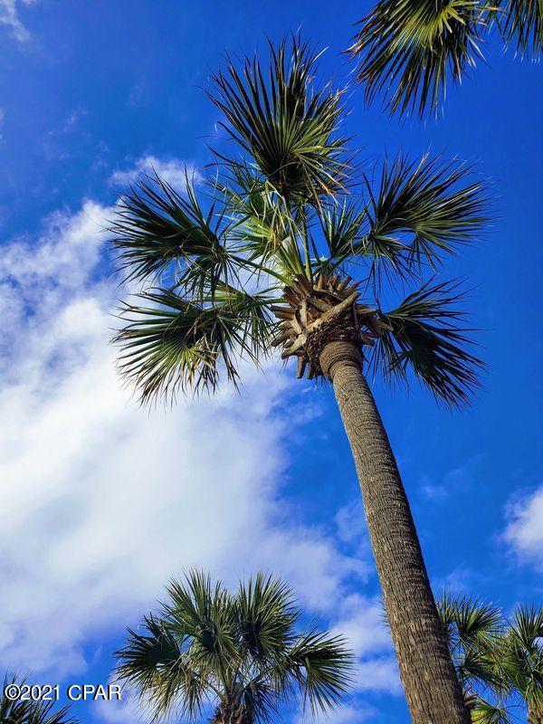 Sterling Reef - Residential