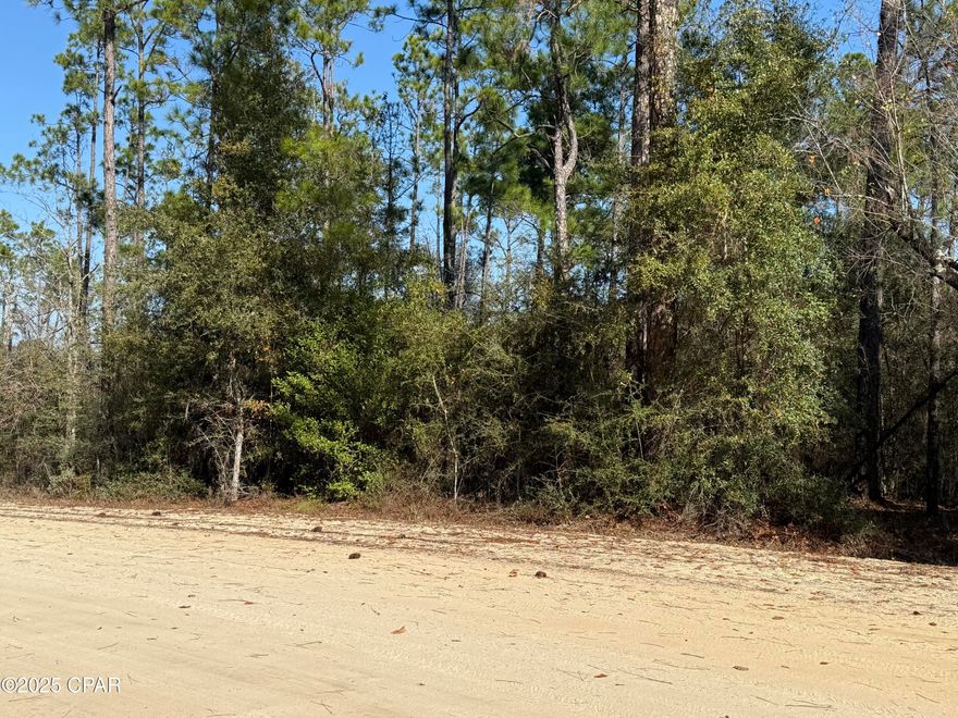 Nice Lot in Compass Lake in the Hills. Fronts a county graded road.  The lot next to it has electricity ran to it. .  Quiet peaceful setting.  Lots of wildlife to enjoy.

Volunteer Home owners association.  Some restrictions apply with these lots.  Call today!