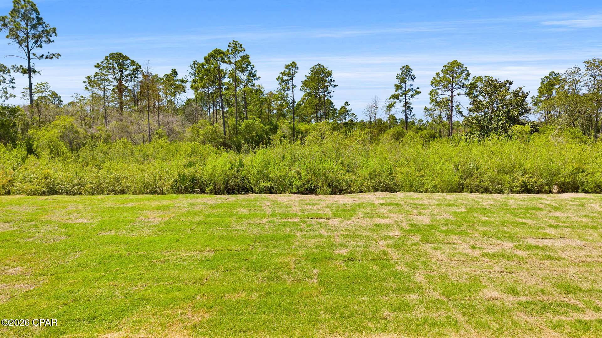Breakfast Point East - Residential