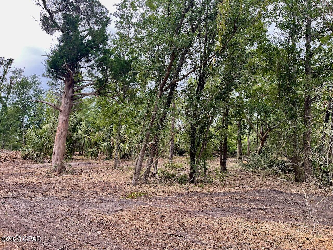 No Named Subdivision - Land