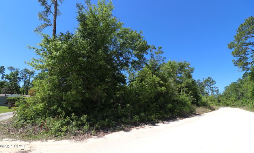If you're looking for a Beautiful Country setting lot to build your Dream Home on, This Is It!  Located in Silver Lake, this gorgeous 2.11 acre lot has all the natural trees and foliage indigenous to NW Florida. Silver Lake offers access to the main lake, Silver Lake, only to owners and their guests via a recreational parcel, which is just a minute from this lot! With access to an estimated 321 acre Beautiful Spring-Fed, crystal clear lake the amount of enjoyment is endless! Enjoy swimming, boating, kayaking, fishing, paddle boarding or even sailing! This lake does not allow any gas powered motors so the lake is pristine! All the serenity and beauty this area has to offer and NO HOA!! Location is within a short driving distance to Marianna as well as Panama City & Panama City Beach! Don't wait, call you favorite Realtor today and go see this beautiful lot! Thank you for considering this property. All information should be verified by buyer or buyer's agent.