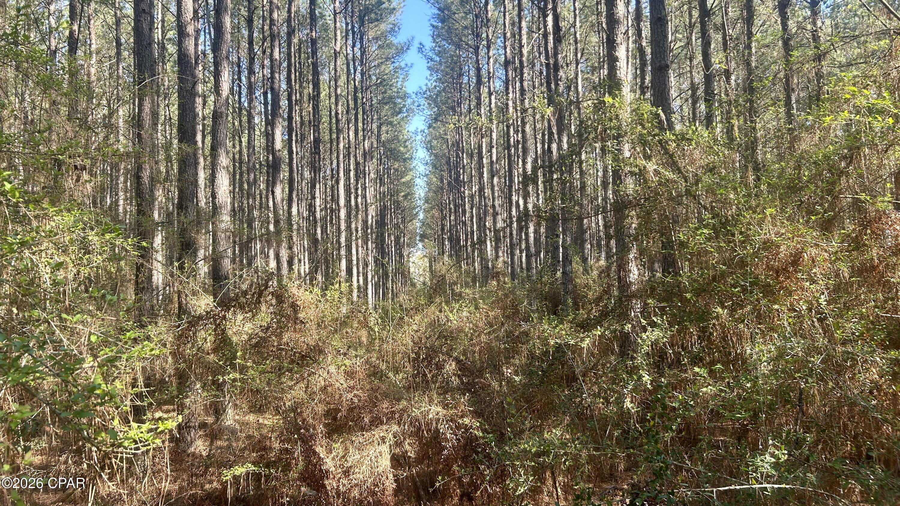 Other - Land