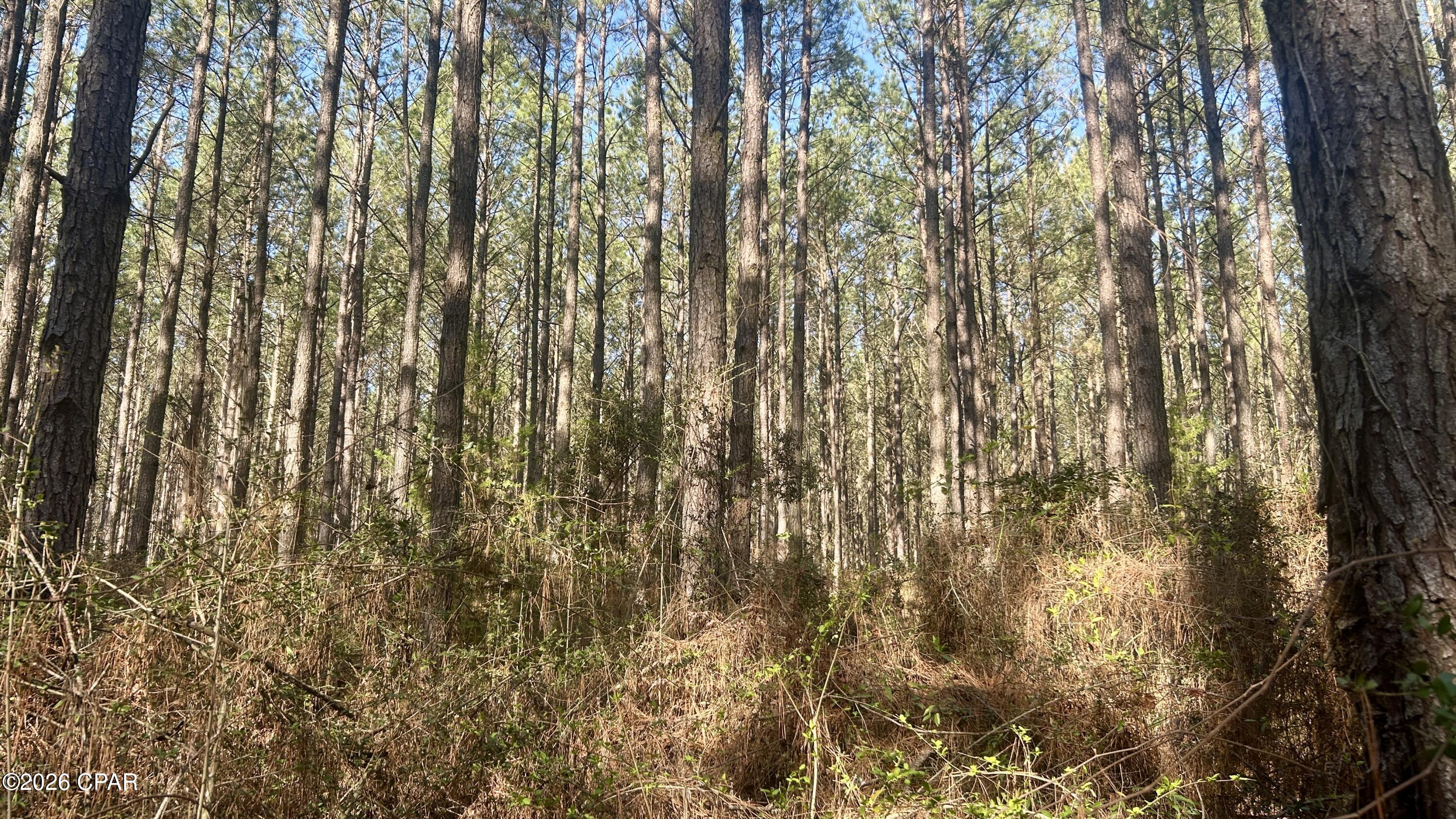 Other - Land