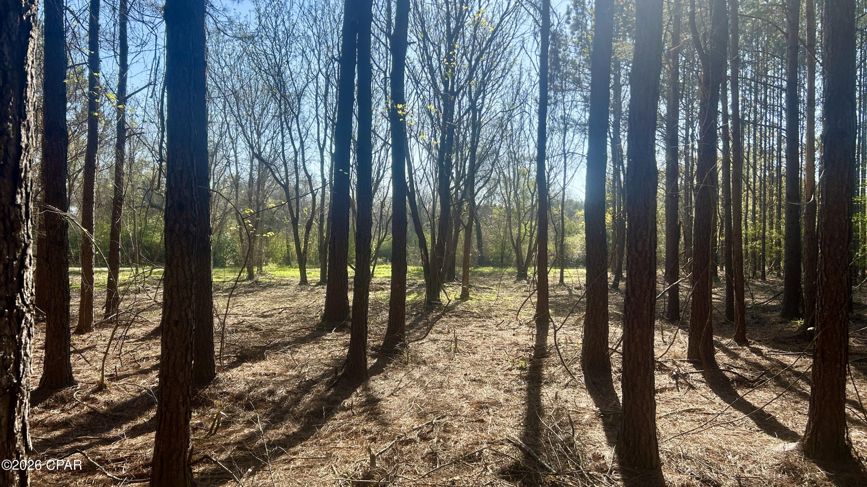 Other - Land