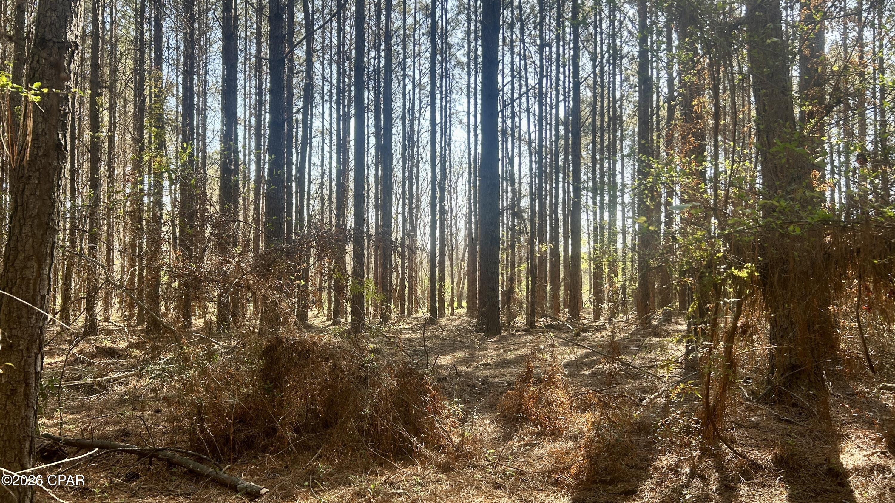Other - Land