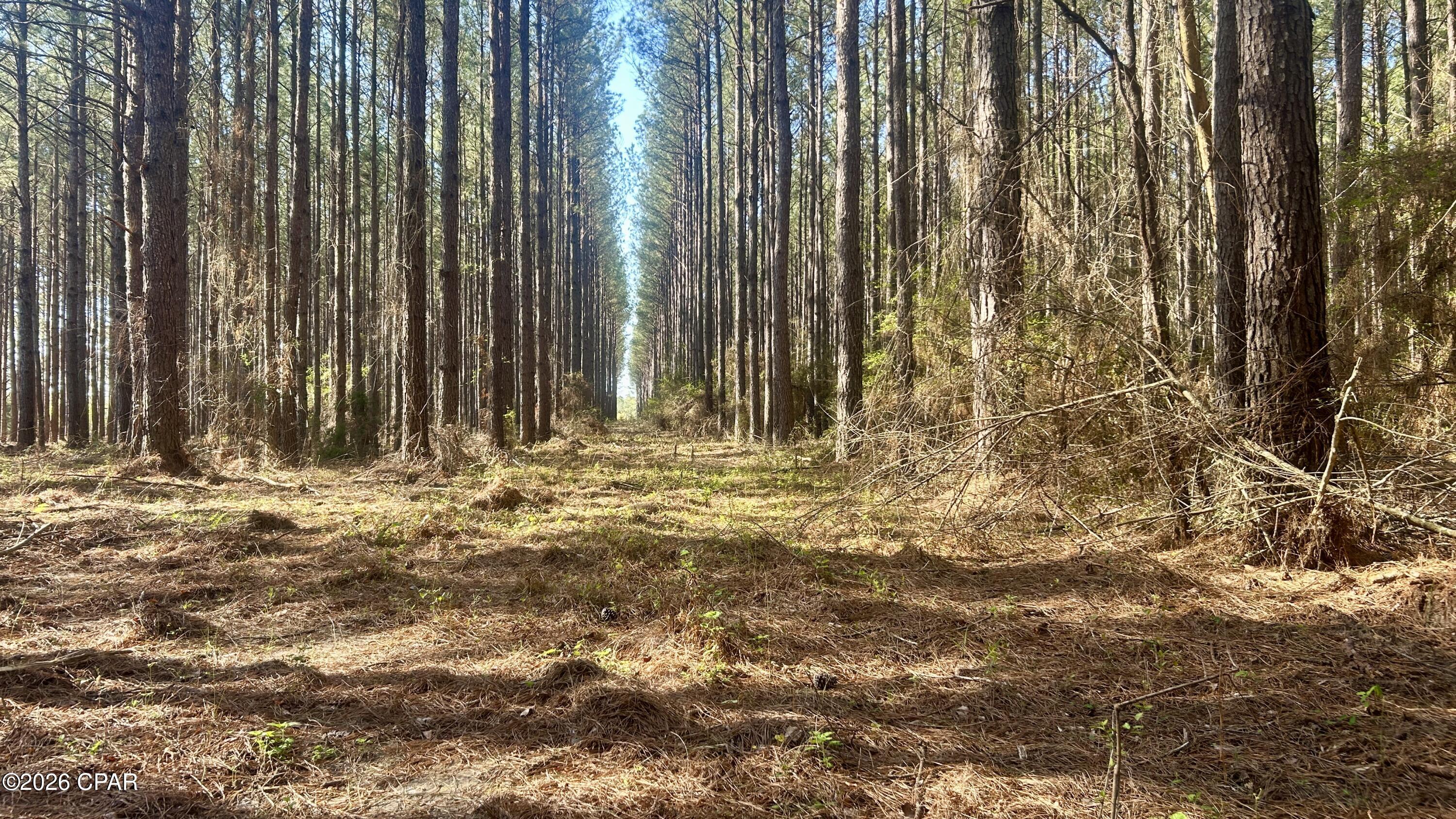 Other - Land