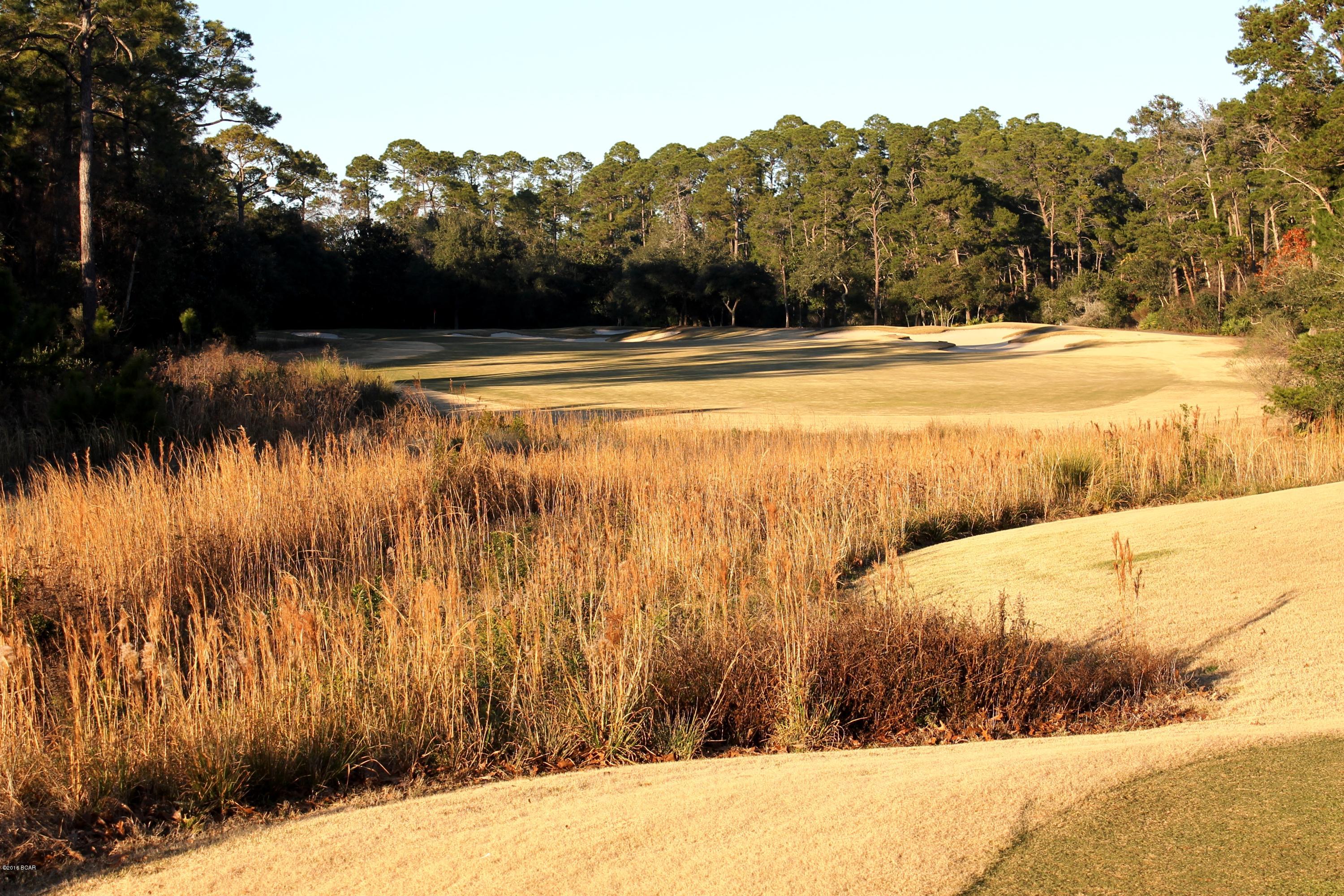 Wild Heron Phase VI - Land