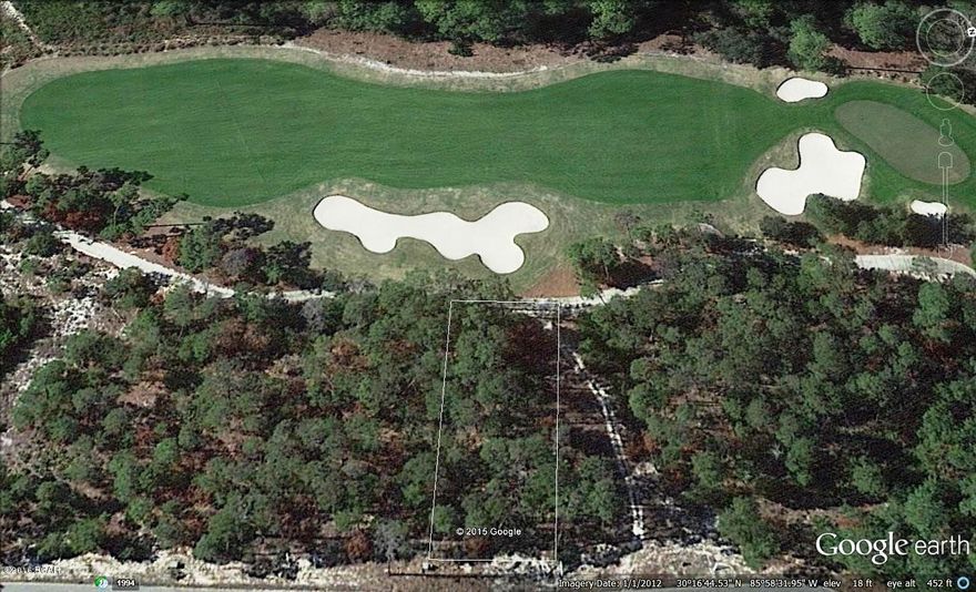 Best Deal In Wild Heron! Located on #16 of Shark's Tooth Golf Course. Look at the pictures to see the awesome golf course views this home site offers. Lot measures 65x150 and is high and dry. Located on a quiet street near the community center and boat house. Also a short walk to Shark's Tooth club house and the driving range. This is a premium lot in a premium location at a discount price. This is the one you've been waiting for.