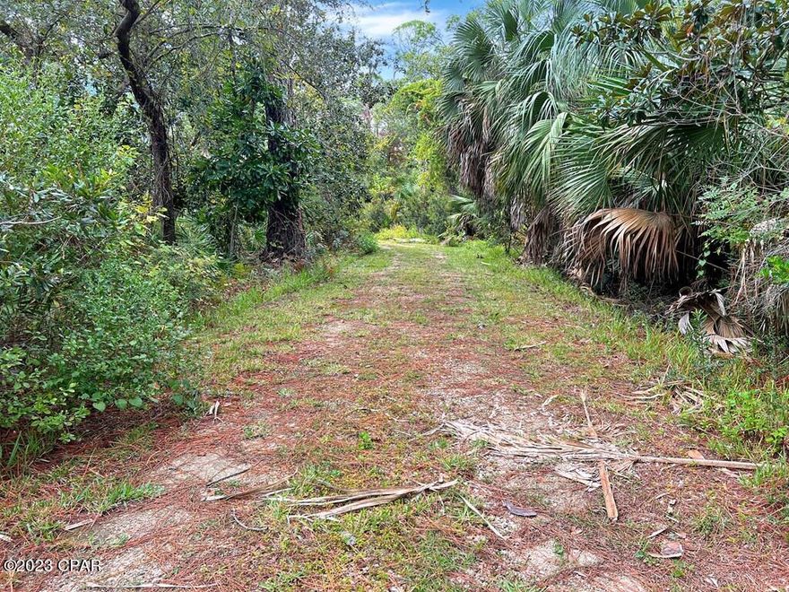 LIVE THE BEACH LIFE ON THIS CLEARED READY TO BUILD LOT WITH POTENTIAL WATER VIEW LOCATED IN THE COMMUNITY OF WATER'S EDGE! If you've imagined owning a home near the water, this is the ideal lot to make that dream a reality. At nearly a 1/2 acre, most design plans could be accommodated. Minimal HOA dues & restrictions apply. Live the life you've dreamed of in this private & secluded 'Old Florida' vestige absent from crowds w/fresh & saltwater fishing and pet friend beaches. This golf cart friendly neighborhood offers deeded beach access along with a community pool, tennis courts and gazebo. Take the ferry to the National Wildlife Refuge at nearby St Vincent Island or kayak the Lagoon & experience nature like never before. Live entertainment, fresh seafood & world-renowned Apalachicola oysters are just a short drive away. Kayak & fish from the shoreline or walk the beach for seashells & wildlife. Nearby family friendly Salinas Park offers pickleball courts, horseback riding & miles of paved walking & bike trails. Most of the prep work has already been completed! Call for a showing & tour the area today!