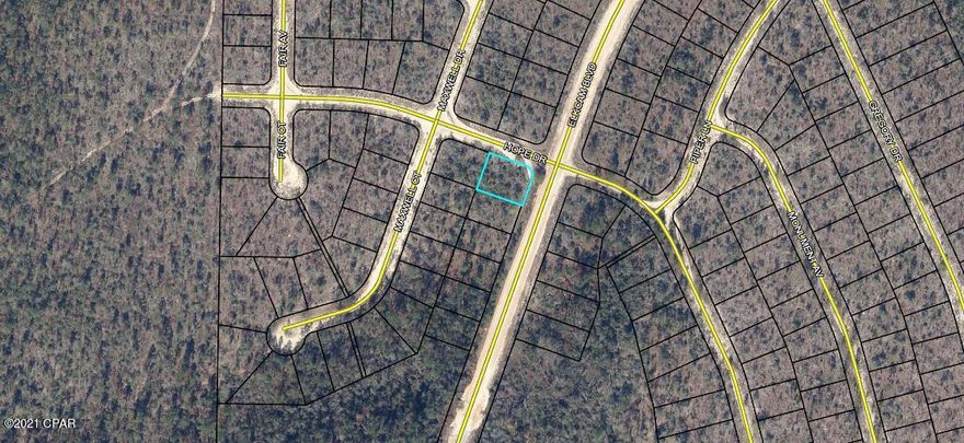 This property is in the up-and-coming Sunny Hills subdivision. It is in area of the subdivision that has been relatively untouched to development recently. Sunny Hills is home to a golf course, Boat Lake Swim Park and a recreational park (see photos). There are also many lakes in the area. The property is located off of a dirt/clay road.