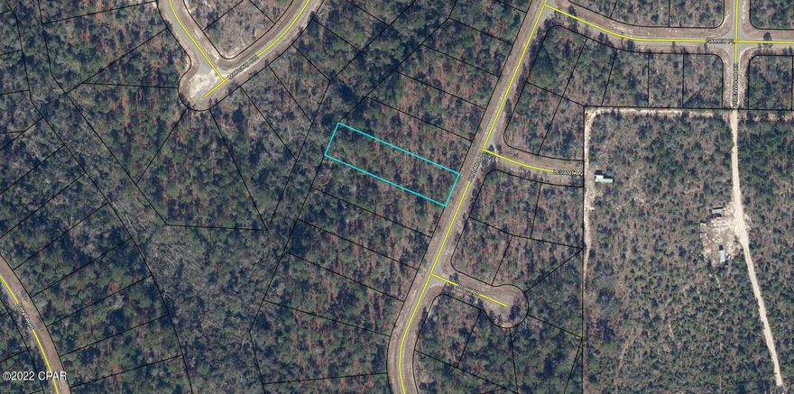 Large building lot (.551 acres) in Sunny Hills. Lot backs up to a greenbelt area so you will not have ''back door'' neighbors. The Sunny Hills community is located 25 miles north of Panama City and 18 miles south of Chipley. Sunny Hills is a deed restricted community (no mobile homes) with no HOA. Sunny Hills features a popular and affordable 18 hole public golf course and many fine fishing lakes. HWY 77 is in the process of being 4 laned which will make the commutes much easier. Great opportunity to invest in the future of the Florida Panhandle. Buyer to pay Title Insurance, Closing fee, and doc stamps on the deed.
