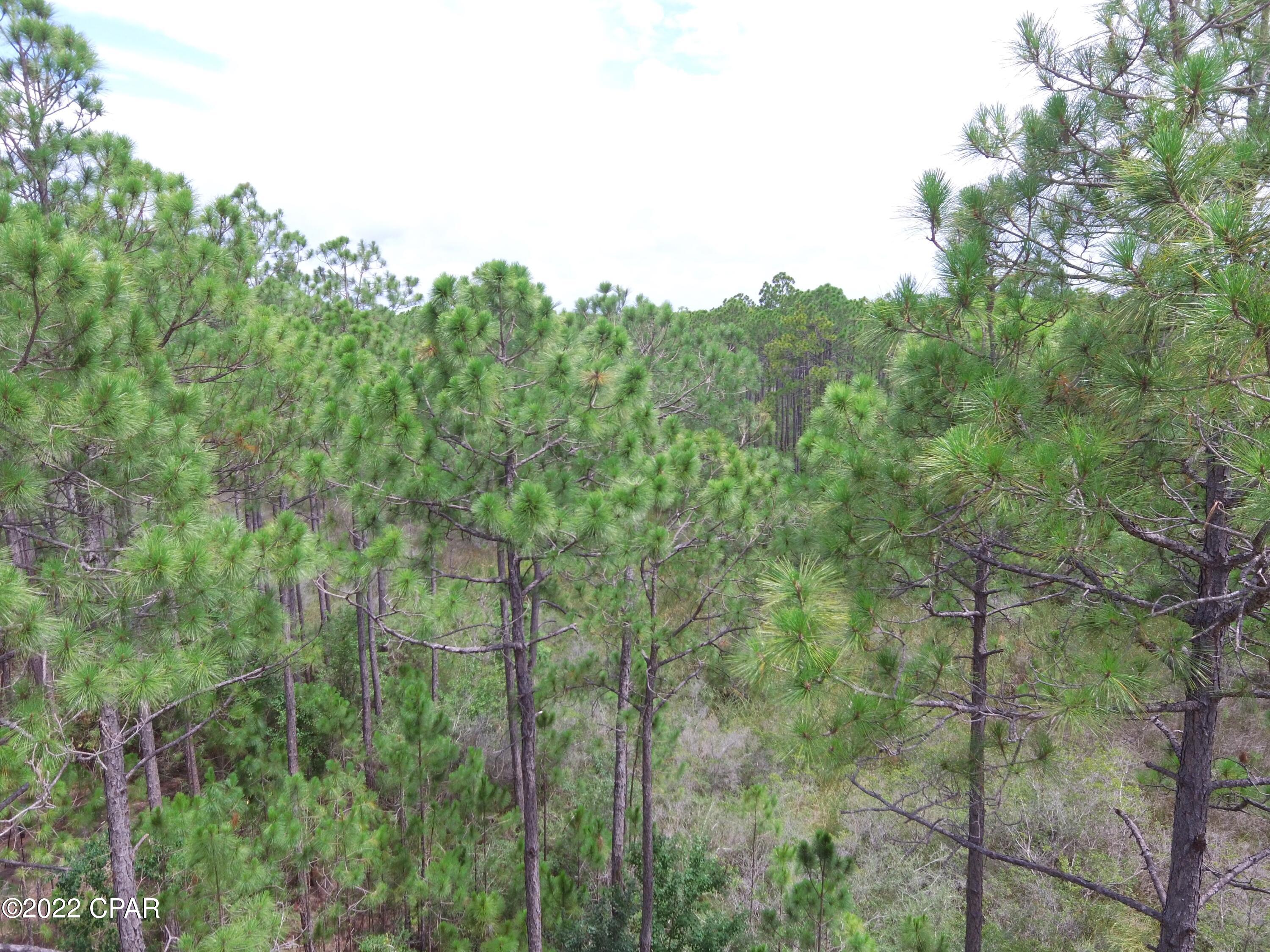 Rivercamps On Crooked Creek - Land