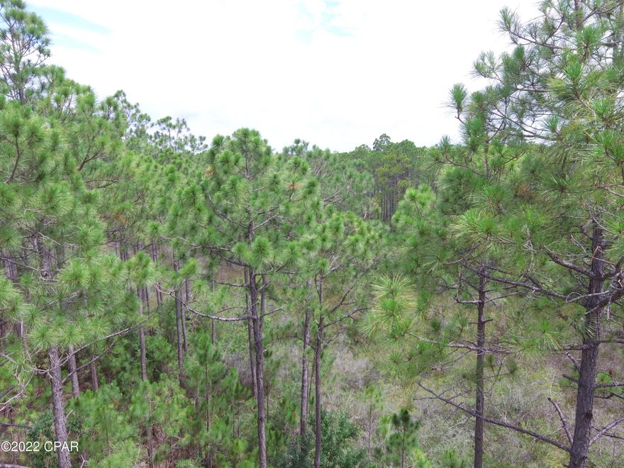 Currently, the most affordable lot in River Camps on South side of the development. Come live in harmony with nature. This is your opportunity to build your Custom Dream Home on this beautiful .63 acre cul-de- sac lot. A mindful design configuration may yield Bay views to the South East. River Camps on Crooked Creek is a 1,500-acre pine forest gated community that is surrounded by three spectacular bodies of water, Crooked Creek, West Bay and the Intracoastal Waterway. Enjoy amazing amenities in a peaceful private setting, yet convenient to the Airport. Community pool, paddle boards, weight room are just some of the activities at the River House. Private boat ramp. There are fantastic new homes being built in this neighborhood. Call me for more details.