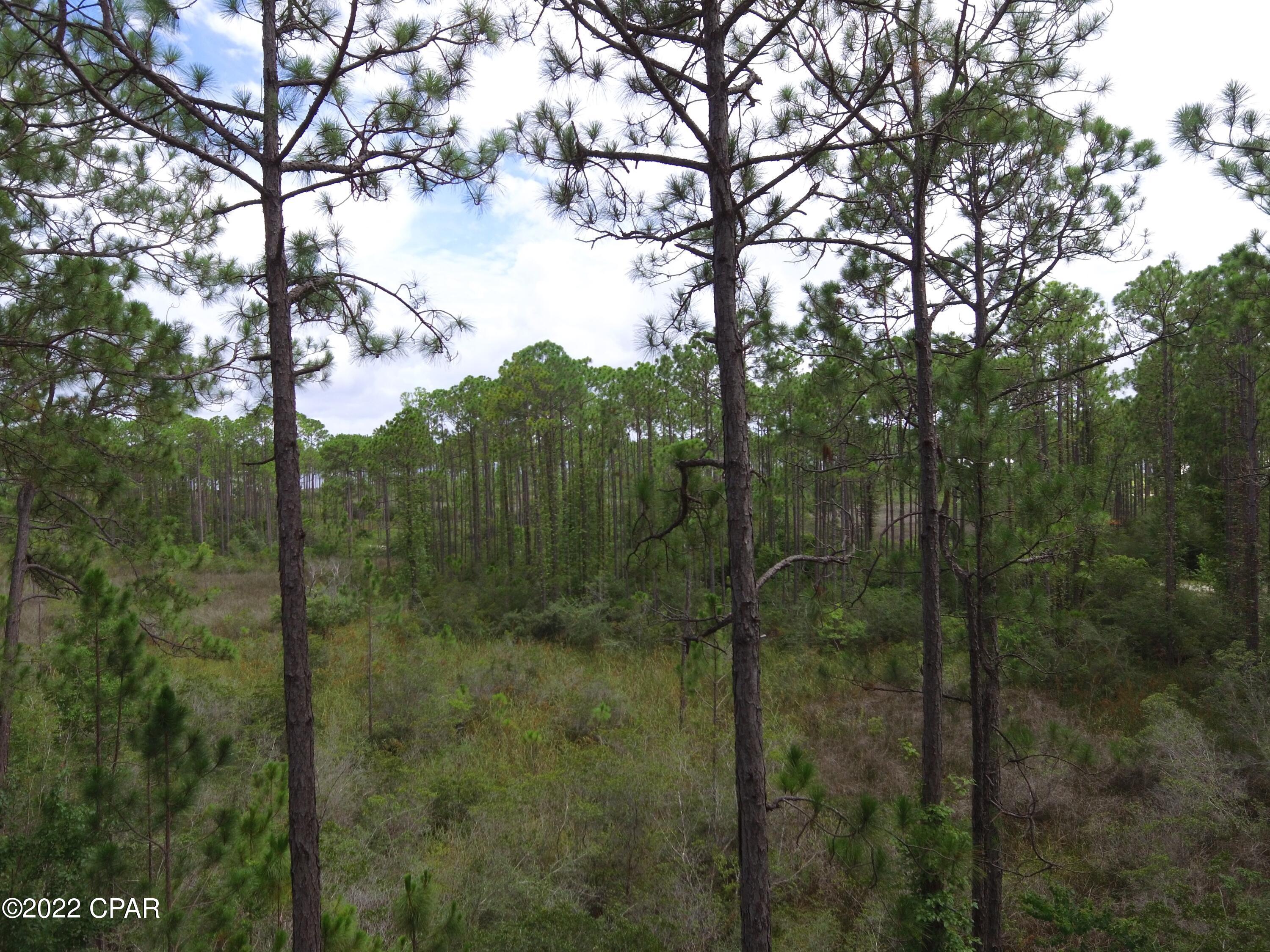 Rivercamps On Crooked Creek - Land