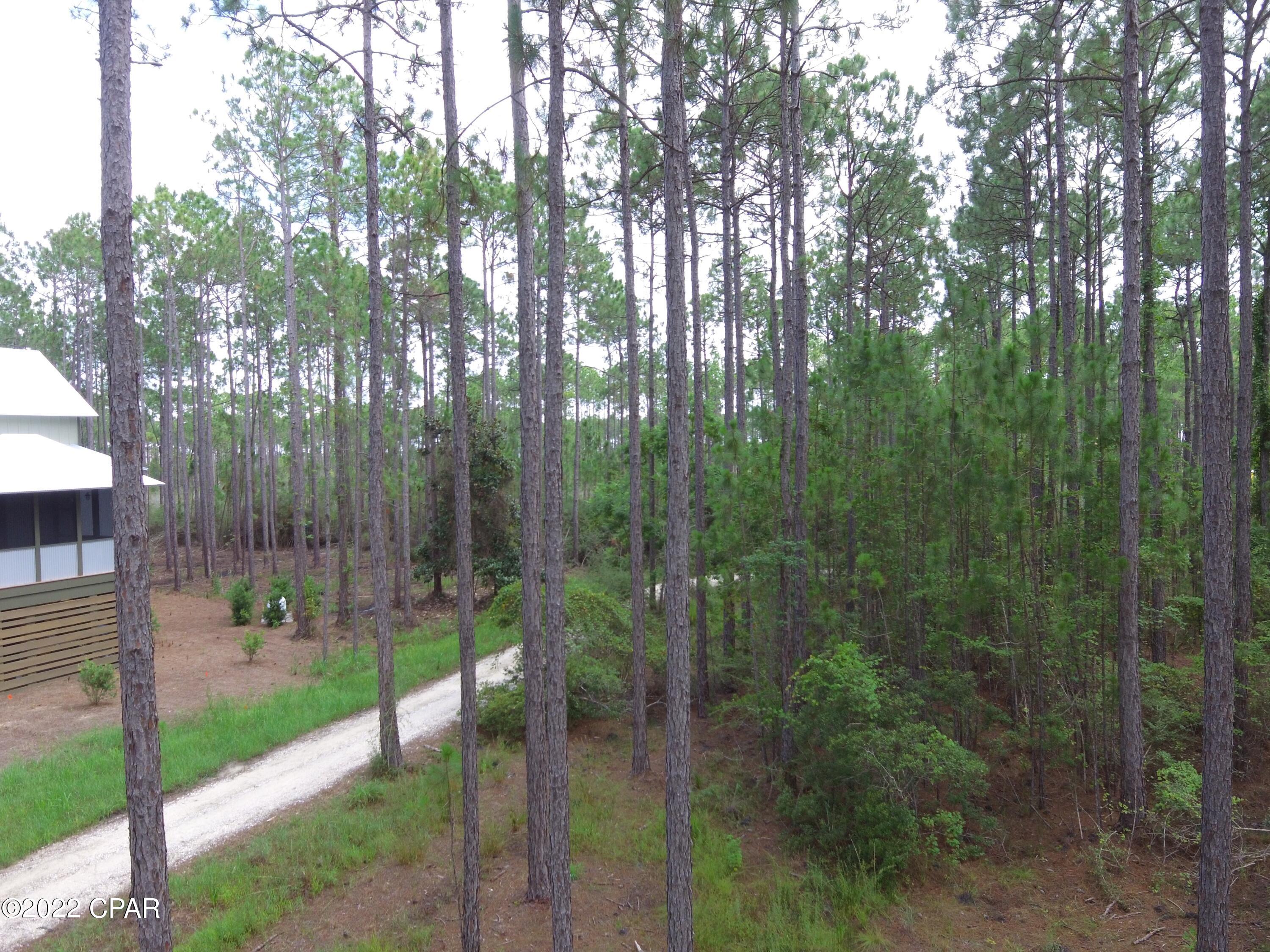 Rivercamps On Crooked Creek - Land