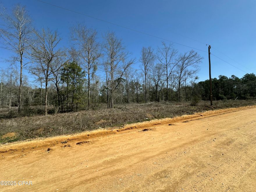 Dream Location for Country Living or Hunters Paradise either way you won't want to miss this opportunity! This Beautiful prime land has so much to offer. paved rd on Davidson Road. Bring your build plans, hunting gear, Horses and ATVS LOCATION LOCATION!!!! This Property has Easy Access to Panama City Beaches I-10, Hwy 79, Hwy 81, and Hwy 90.