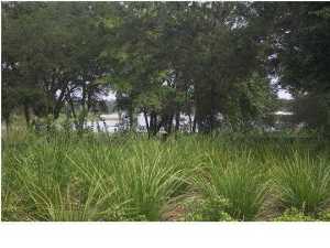 Lake Merial Phase One - Land