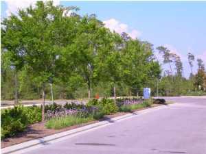 Lake Merial Phase One - Land