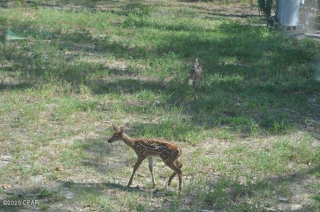 Compass Lake In The Hills - Residential