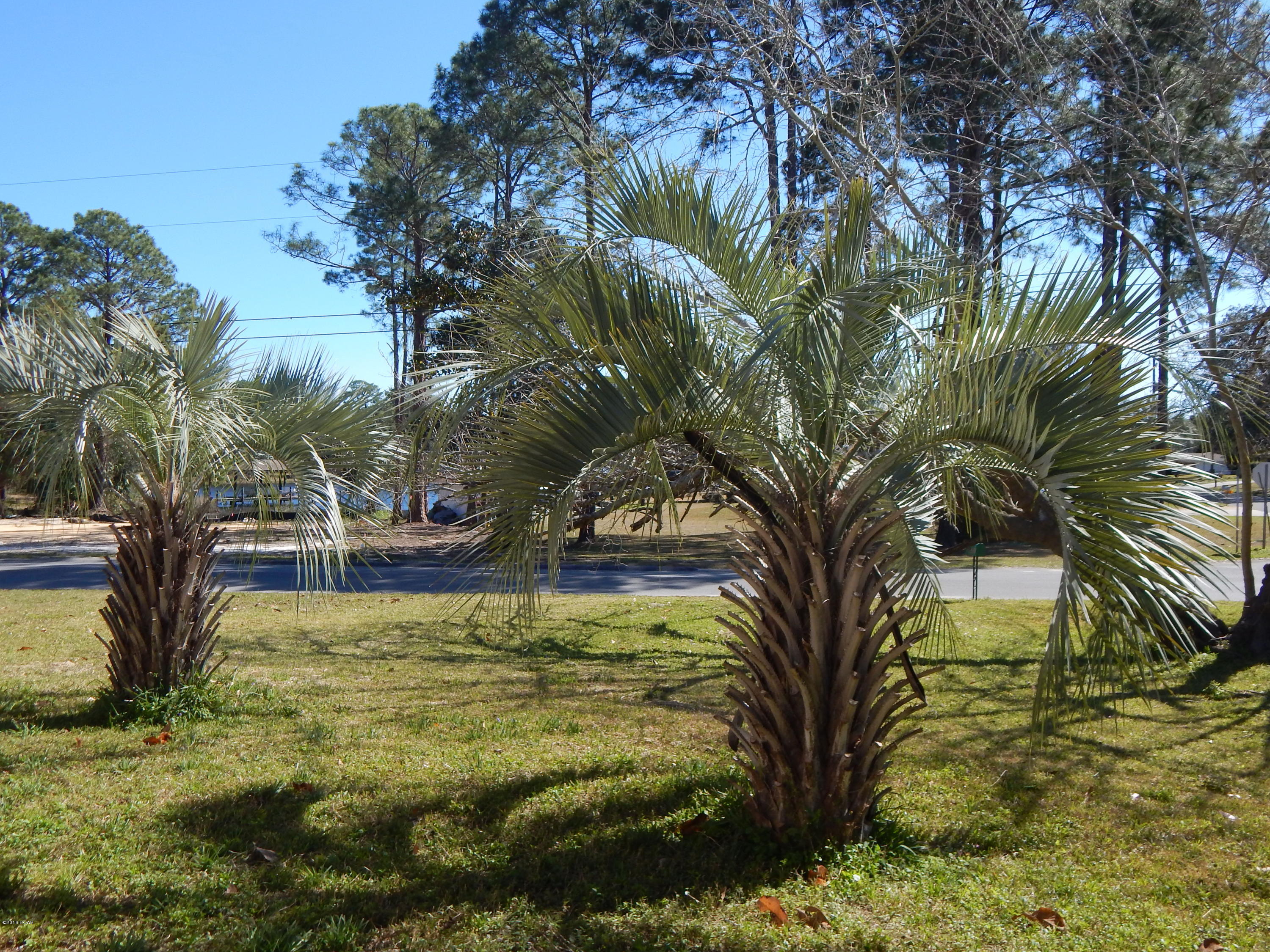 Crown Point - Residential