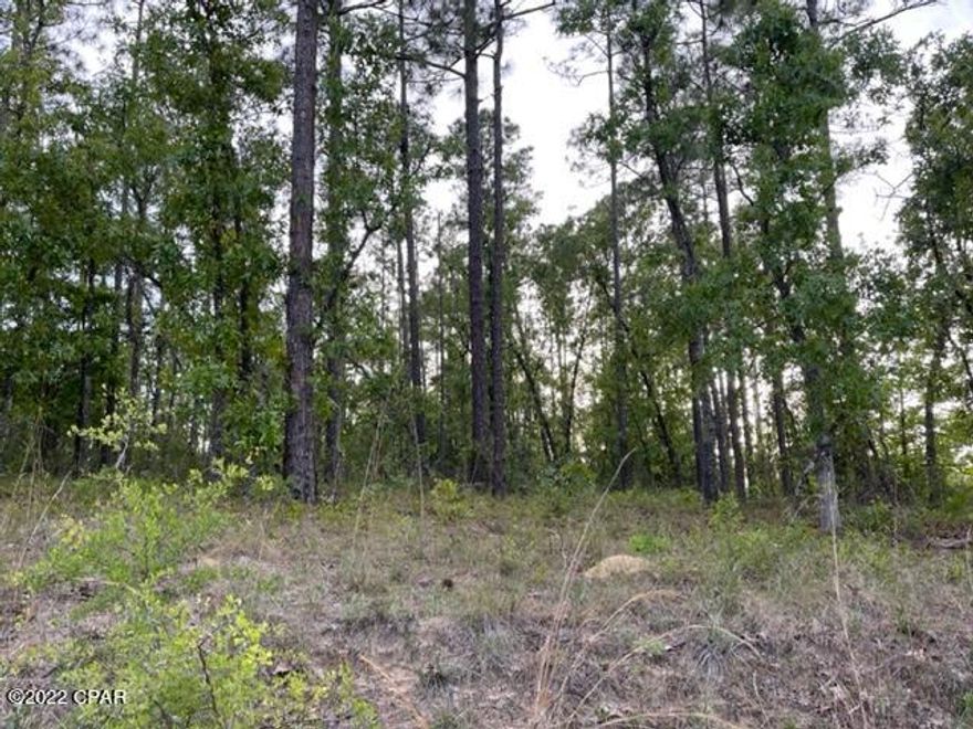 5 acres in the Florida ''mountains.''  Located on some of the highest elevations & lowest valleys in the state.  1  mile SE of Wausau as the eagle flies.  Scenic views from this property.   All county maintained roads & electricity available.  Perfect for lodge or weekend retreat.  Highway 77 near by currently being 4 laned.