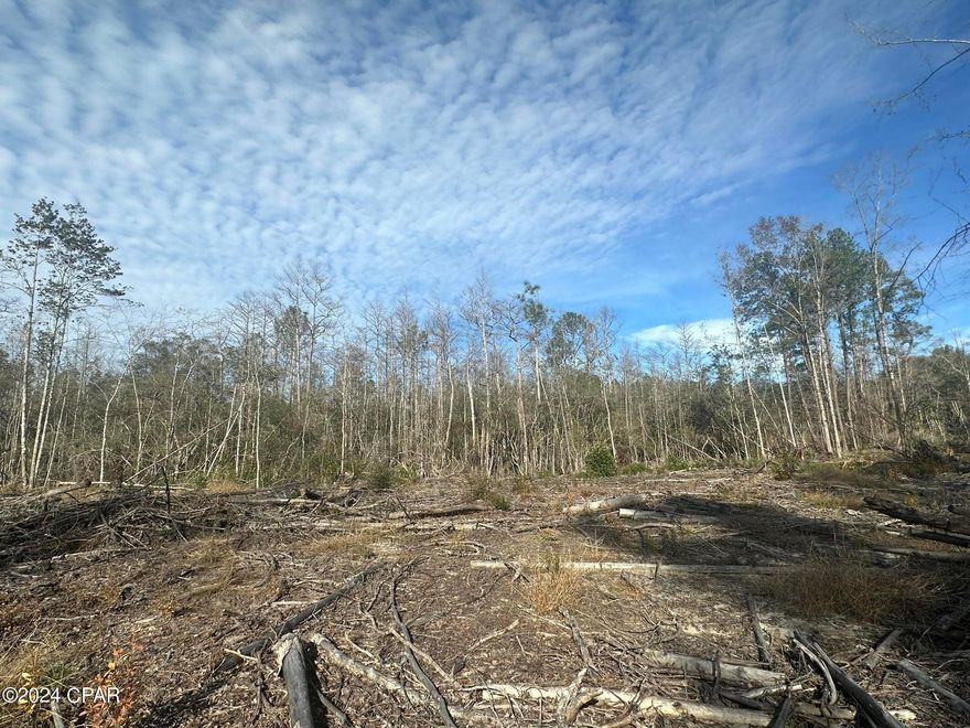 ***POSSIBLE HUNTING LEASE - DO NOT ENTER THE PROPERTY PRIOR TO SCHEDULING A SHOWING APPOINTMENT 24 Hours or more in advance***Great Location for  Hunters Paradise, either way you won't want to miss this opportunity! This Beautiful 37.29 +/- Acres of prime land. Prime quite location 15 minutes away from Bonifay. I-10. This tract timber has recently been harvested and tract has been cut. Bring your hunting gear, Horses, and ATVS. LOCATION LOCATION!!!! This Property has Easy Access to Panama City Beaches, I-10, Hwy 79 and Hwy 90. DEED RESTRICTIONS. SEE DOCUMENTS