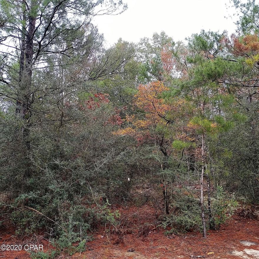 Oversized Building Lot in Mossy Head that is ready for you to put your mobile home or build your new house.  Lightly-wooded lot - you can clear a portion for your home and keep surrounding trees for privacy.  Mossy Head water tap and electricity is available. A septic tank will be required.  Located 15 minutes from DeFuniak Springs and 15 minutes to Crestview.
