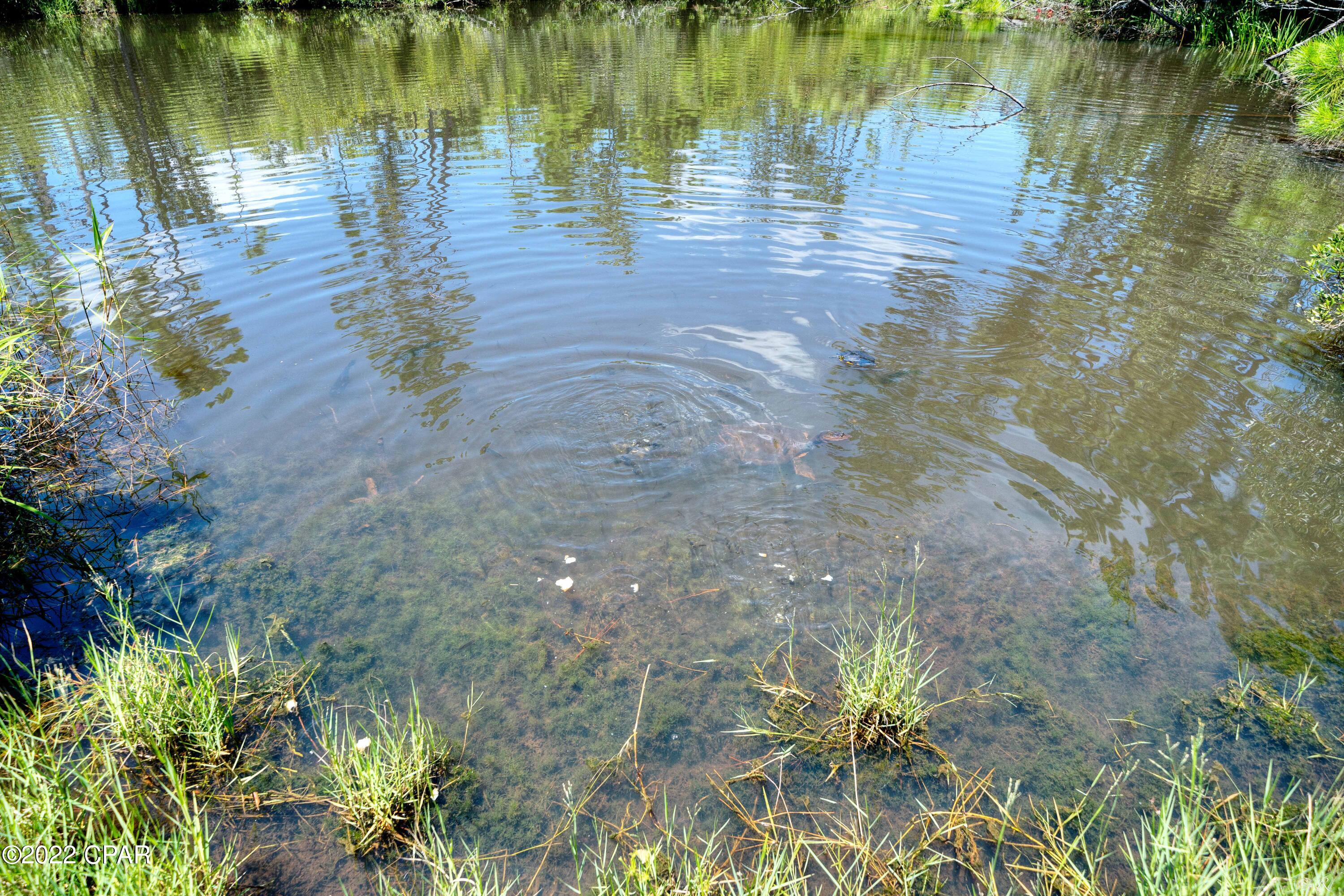 College Oaks - Residential