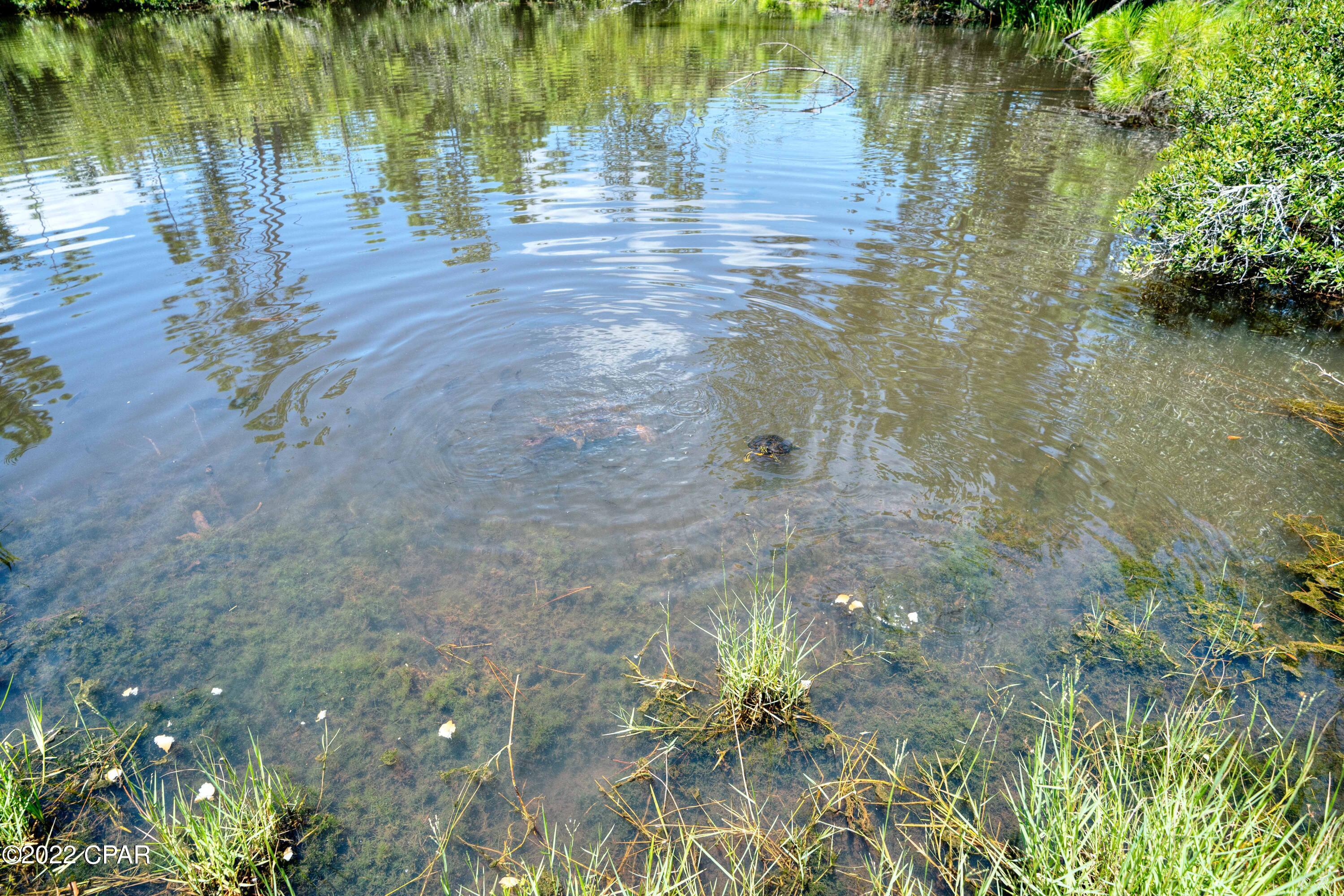 College Oaks - Residential