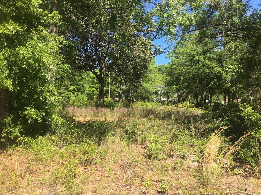 Seller will consider owner financing, bring all offers. Approximately 3.2 acres of wooded land in the Bayou George area off Star Avenue. Make this a home site or subdivide for multiple homes.