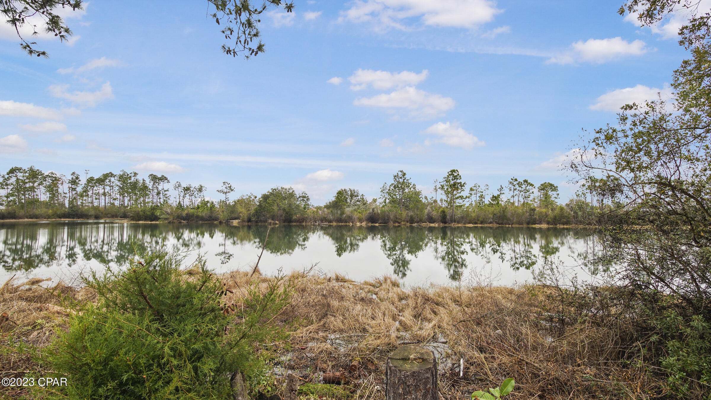 Olde Towne Village - Residential