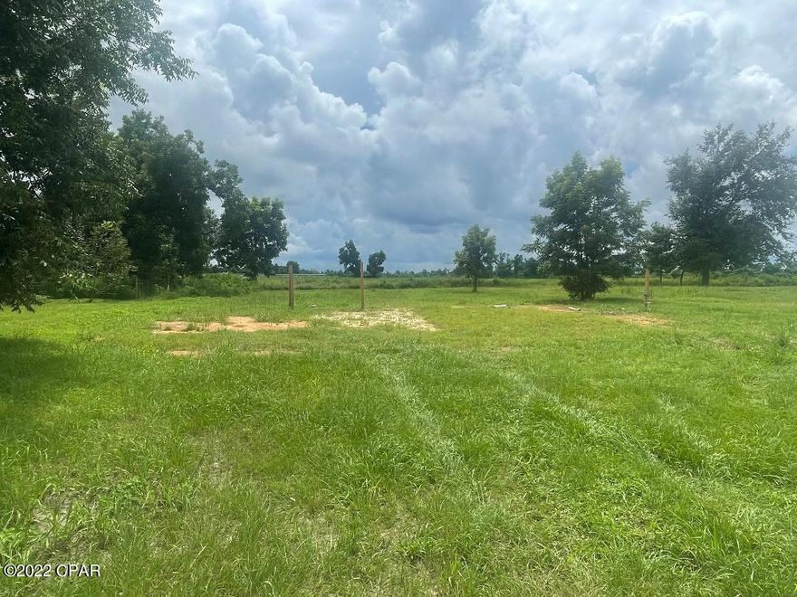 Looking for the perfect spot to build your new home? Look no further! This .31 acre lot is conveniently located just north of the Town of Altha and only 11 miles from I-10. There is a new power pole and well pump along with a septic already in place. Call today to see!