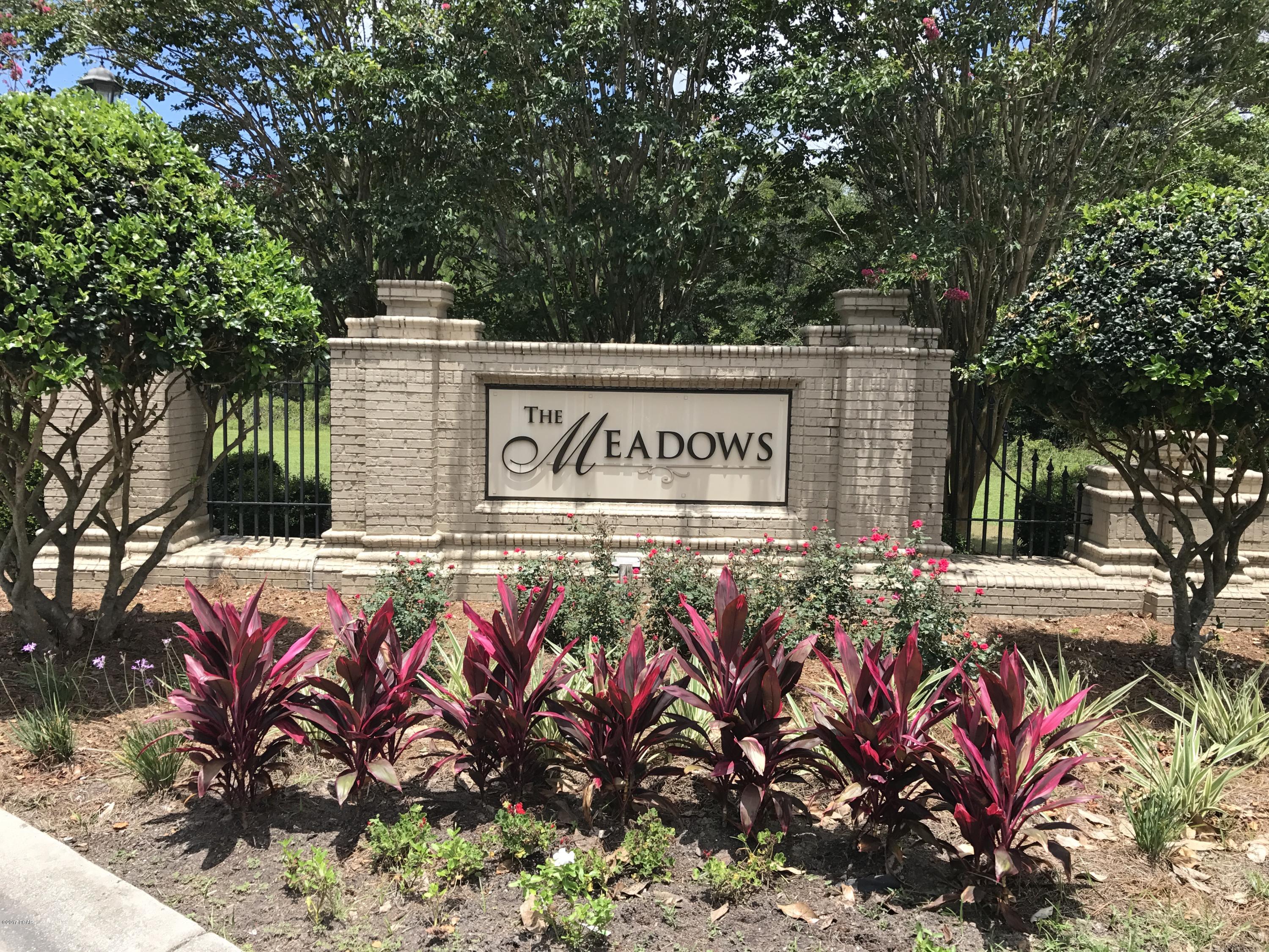 The Meadows & The Pointe - Residential