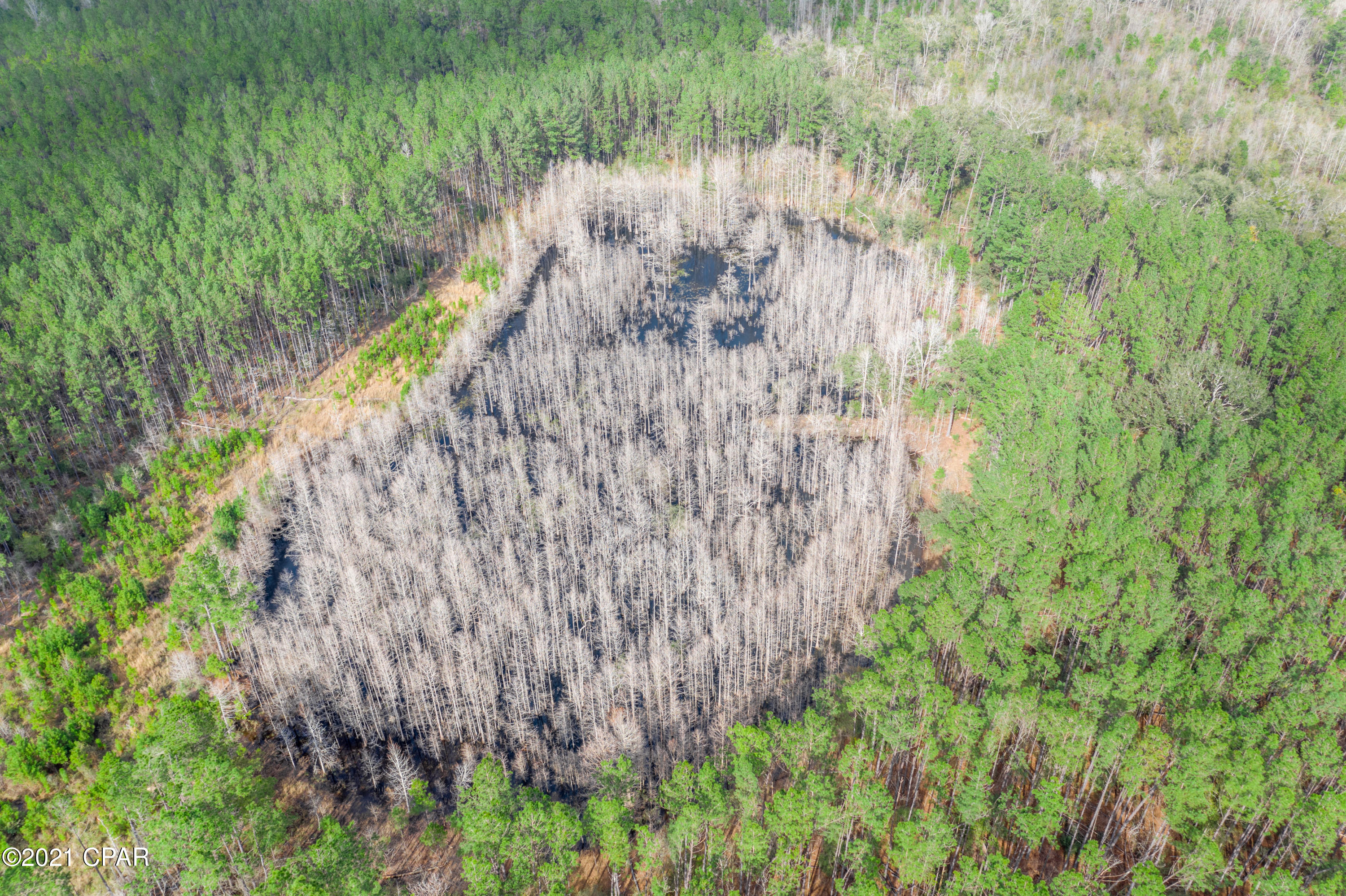 [No Recorded Subdiv] - Land