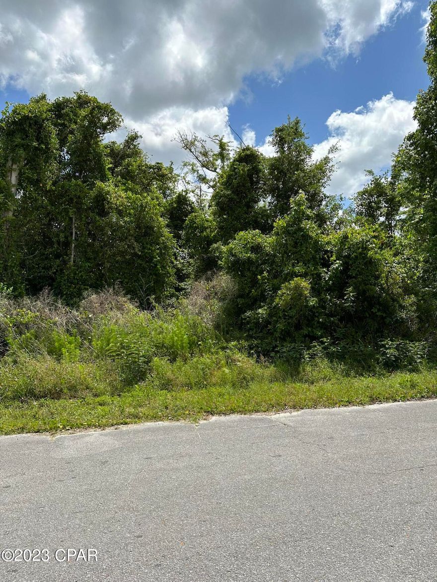 Prime vacant land within City of Lynn Haven that has the potential to build residential homes, a great opportunity for builders and developers. Conveniently located under a half mile to Cain Griffin Park. Buyer to verify any building restrictions, utilities, and land use with the City of Lynn Haven.